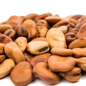 Fava Beans