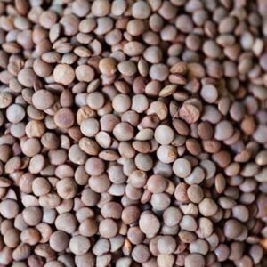 Laird Lentils