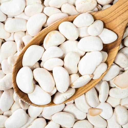 Large Lima Beans - Pulse Agro